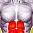 Full Body Burn 6 Pack In Just 20 Minutes