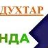 Музафари бул бул Духтари Балчувони овози зинда 2023