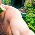 SURVIVAL CHALLENGE USA S Most Ambitious Rescue