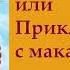 гл 2 Путь Кассандры или Приключения с макаронами Юлия Вознесенская аудиокнига