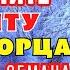 ВКЛЮЧИ 1 РАЗ И ПОЛУЧИТЕ ЗАЩИТУ ЧУДОТВОРЦА ОТ КЛЕВЕТЫ И ОБМАНА Молитва святителю Софронию Иркутскому