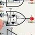 Logic Gates Learning Kit 2 Transistor Demo