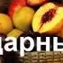 16 день Медитация Дипак Чопра Жить с Благодарностью