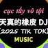 天真的橡皮 DJ林译 白水寒 心中不负便胜朝朝暮暮 2025网络热门音乐