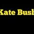 Kate Bush Army Dreamers Karaoke Guitar Instrumental