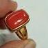 Italian Coral Munga Pohola Probal Gem Gemstone Odisha Bhubaneswar Astrologer Swati Gems