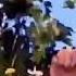 Oobi Intro Bruhew