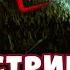 Бэкострим TheStation Gloomspite часть 3