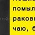 Короткие и Смешные Фразы со смыслом Подборка фраз 7 этосмешно