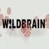 The Magic Store Wildbrain Nickelodeon Logos