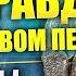 Ледниковый период и допотопные цивилизации Палеоантрополог Александр Белов