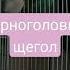 Пение щегла