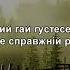 Стоїть гора високая Українська народна пісня
