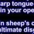 KMFDM Megalomaniac LYRICS