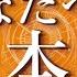 辛口あり あの人のあなたへの大本音 占い 恋愛 片思い 復縁 複雑恋愛 好きな人 疎遠 タロット オラクルカード