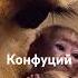 Мудрость Конфуций конфуций цитаты мудрость