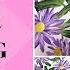 ASTER FLOWER PAINTING TUTORIAL Painting Flowers Step By Step Aressa1 2019