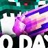 I Survived 100 Days In The Custom END In Minecraft