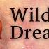 Wildest Dreams Music Inspired By Bridgerton