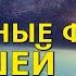 Важные факты нашей истории Виталий Сундаков