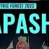 APASHE ELECTRIC FOREST 2023 FULL LIVE SET