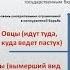 Аптечные альянсы модный тренд или необходимость для выживания демо
