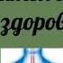 50 аффирмаций от курения