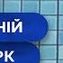 Любовь пап к животным добавила хлопот женам Хата на тата ЛУЧШИЕ ВЫПУСКИ