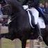 Edward Gal And Glock S Zonik Wins Prix St George At De Peelbergen Netherlands