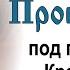 Проповедь под праздник Крещения Господня 2010 01 18 Протоиерей Димитрий Смирнов