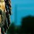 Snoop Dogg Dr Dre 50 Cent Up The Smoke Ft Xzibit