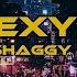 Shaggy Hey Sexy Lady Lyrics Video Official Music Video