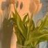 Mac Demarco My Kind Of Woman Instrumental