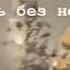Мама это вся наша жизнь