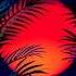 David Guetta Ft Sia Flames Extended Mix