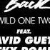 Wild Ones David Guetta Nicky Romero Sia Remix