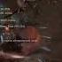 Diablo 4 некромант быстрый как пуля диабло4 Diablo4 некромант