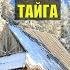 ГЛУХОМАНЬ СУДЬБА МЕТЕОРОЛОГА в ТАЙГЕ ДОМ в ЛЕСУ ЛЕСНЫЕ ИСТОРИИ из ЖИЗНИ АУДИОКНИГИ ОНЛАЙН СЕРИАЛ 1