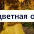 Разноцветная осень Красивая песня про осень