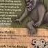 The Dangerous DROP BEAR Australia Fyp Shortvideo Shorts Bears