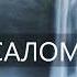 ПСАЛОМ 70 На Тебя Господи уповаю да не постыжусь вовек