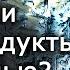 Можно ли есть продукты с плесенью Алексей Водовозов Лекции по медицине Научпоп