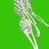 Green Screen Skeleton Dance