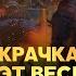 Королевства Огров Фракции Total War Warhammer 3
