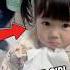 Little Girl Couldn T Handle Being Scolded And Ended Up Crying In Grandpa S Arms Shorts