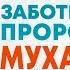 Махмуд аль Хасанат А что же заботило пророка Мухаммадаﷺ НОВИНКА 2019