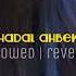 Hadal Ahbek Slowed Reverb For Best Experience