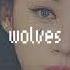 Wolves Selena Gomez Speed Up