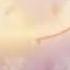 SCO Skyline Webm