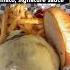 Sea Dog Stacker Goodeats Bangor Maine Seadog